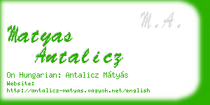 matyas antalicz business card