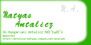 matyas antalicz business card